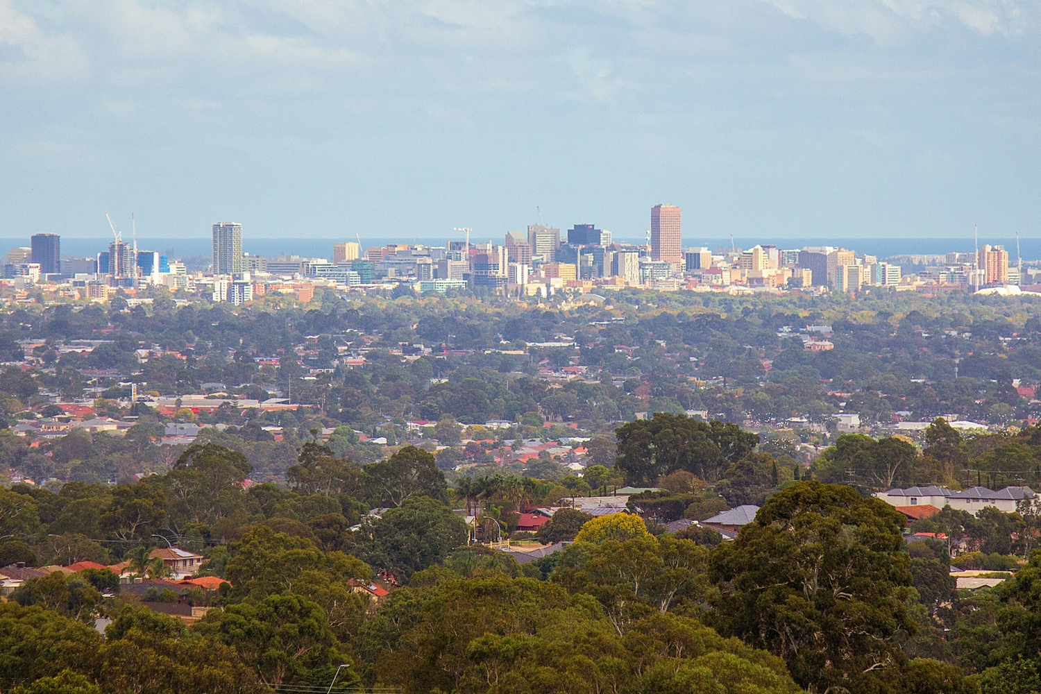 South Australian Market Snapshot October 2025